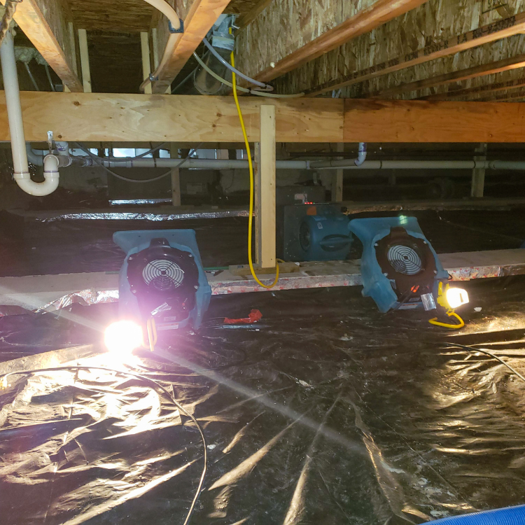 Restoration in Dayton