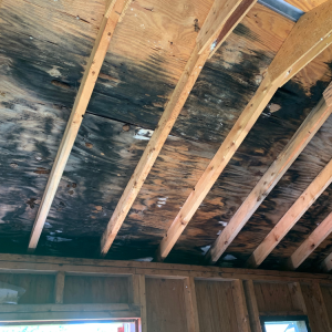 Restoration in Dayton